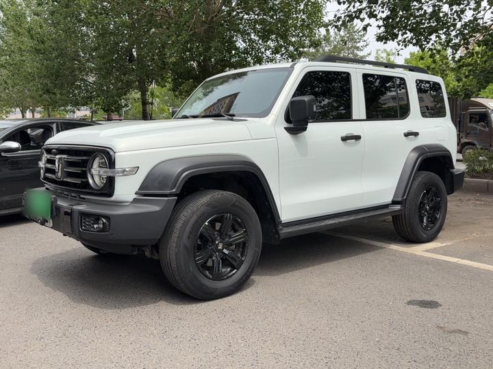 300 2021 Off-road 2.0T Conqueror photo 2