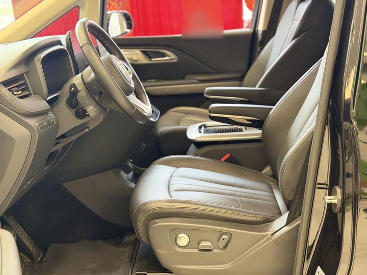 HQ9 PHEV 2024 2.0T AWD Business photo 6