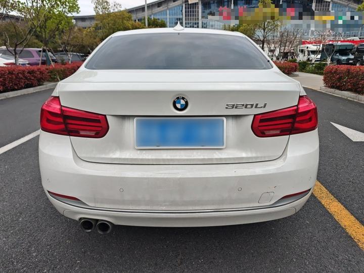 3 Series 2019 320Li Fashion photo 3