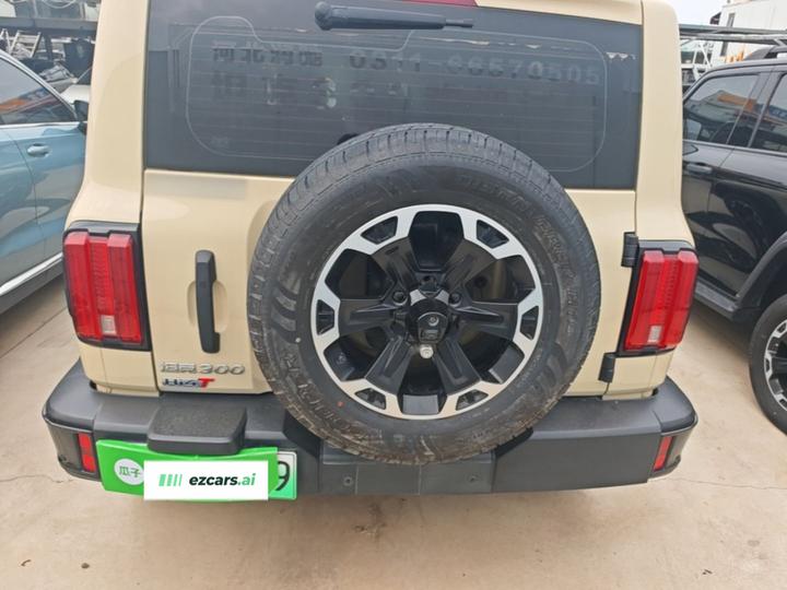 300 EV 2025 Hi4-T 37.1kWh photo 5