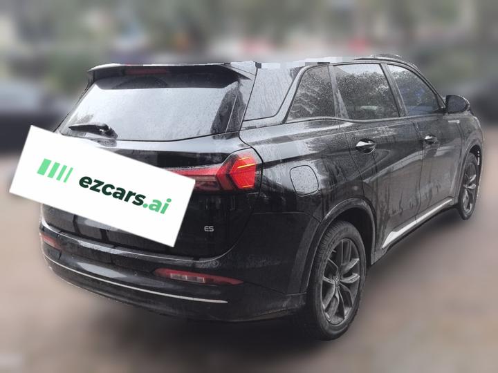 Bluelectric E5 2024 Honor 100KM Exclusive 7-Seater photo 6