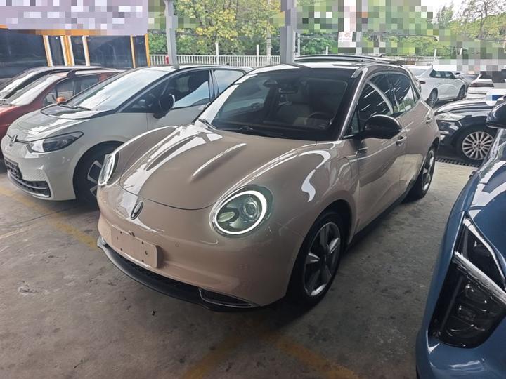 Good Cat 2022 400km Standard Range Luxury LFP