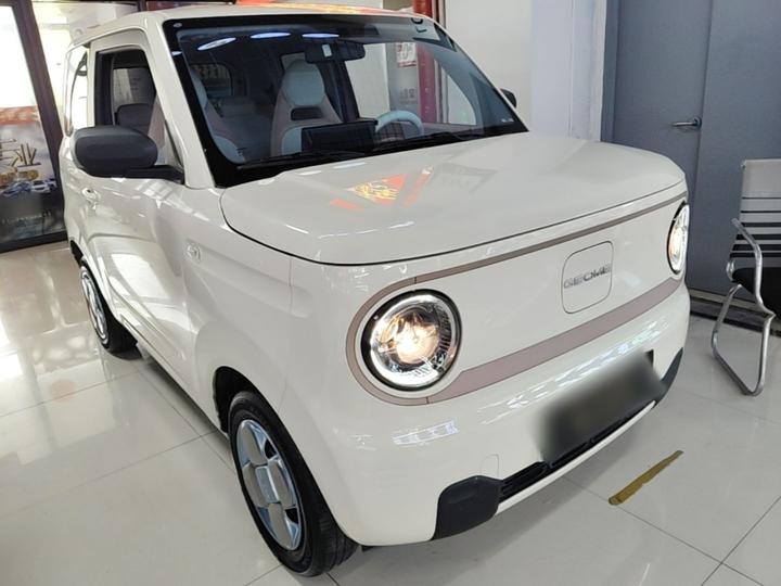 2023 Panda mini 200km Endurance Bear photo 3