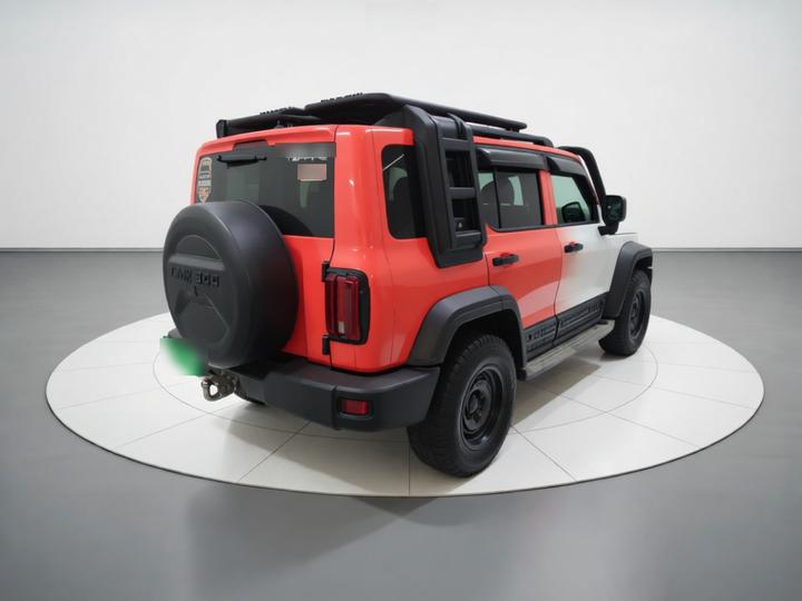 300 2021 Off-road 2.0T Conqueror photo 6