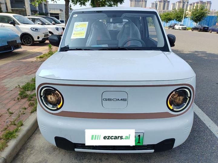 2024 Panda mini 200km Endurance Bear photo 2