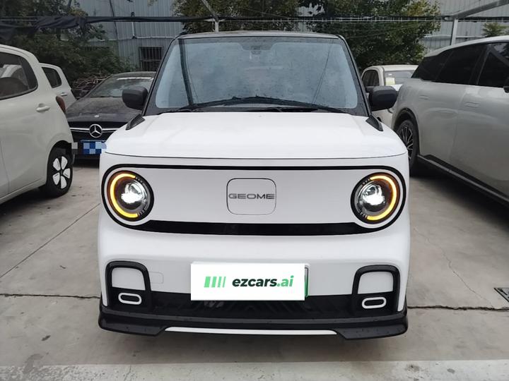 2025 210km Panda photo 2