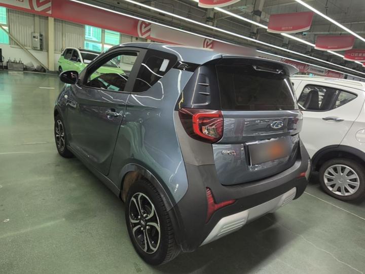 QQ Little Ant 2021 15 LFP photo 4