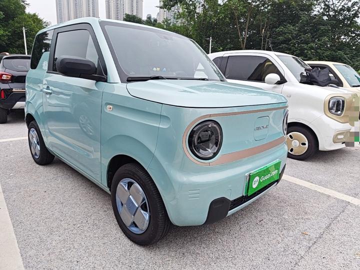 2023 Panda mini 200km Endurance Bear photo 3