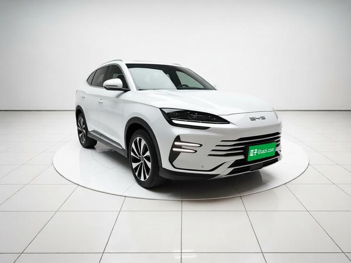 Song PLUS EV 2024 Honor DM-i 110km Flagship PLUS photo 3