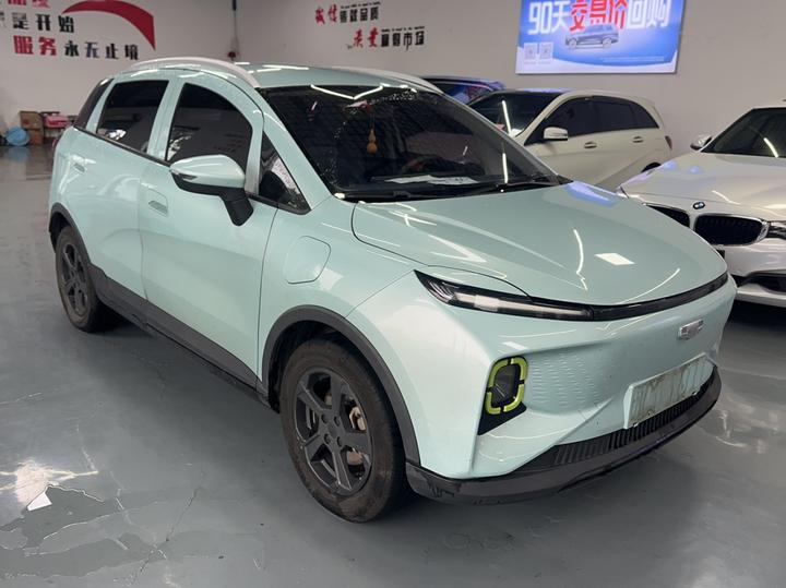 E Firefly 2022 320KM 4-Seater photo 3
