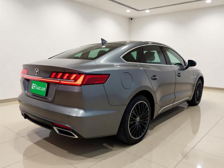 Han 2020 DM AWD Performance Luxury photo 6