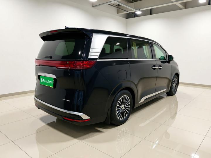 D9 2024 DM-i 980 AWD Noble photo 6