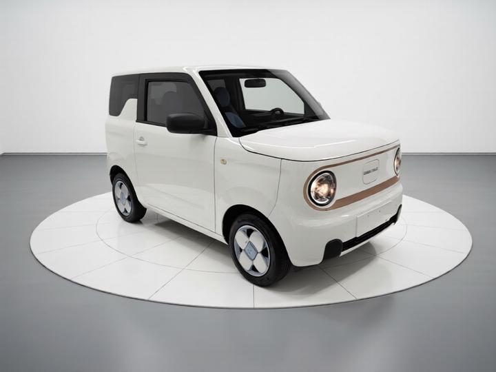 2024 Panda mini 200km Endurance Bear photo 3