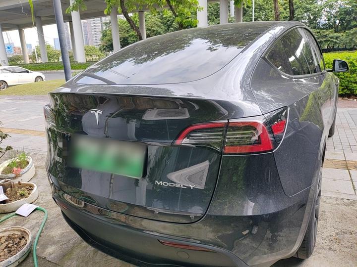 Model Y 2024 RWD photo 5