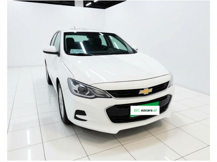 Cavalier 2018 320 AT photo 3