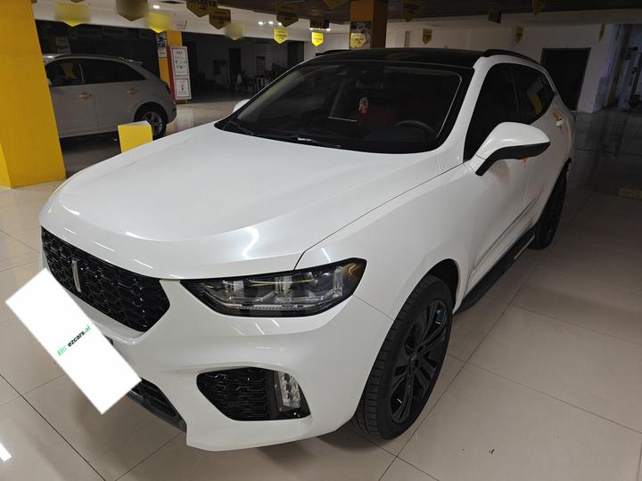 VV5 2019 Upgraded 2.0T RWD Flagship China V