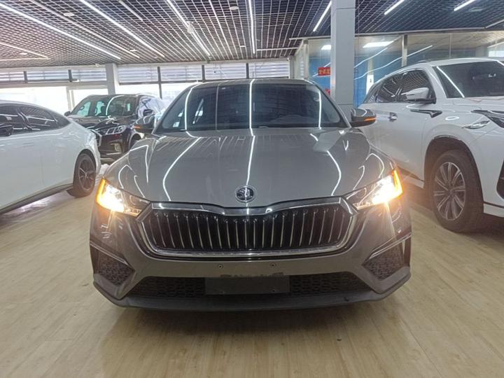 Octavia 2021 PRO TSI280 DSG Luxury photo 2