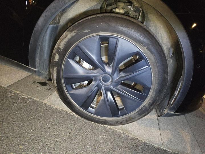 Model Y 2023 RWD photo 8
