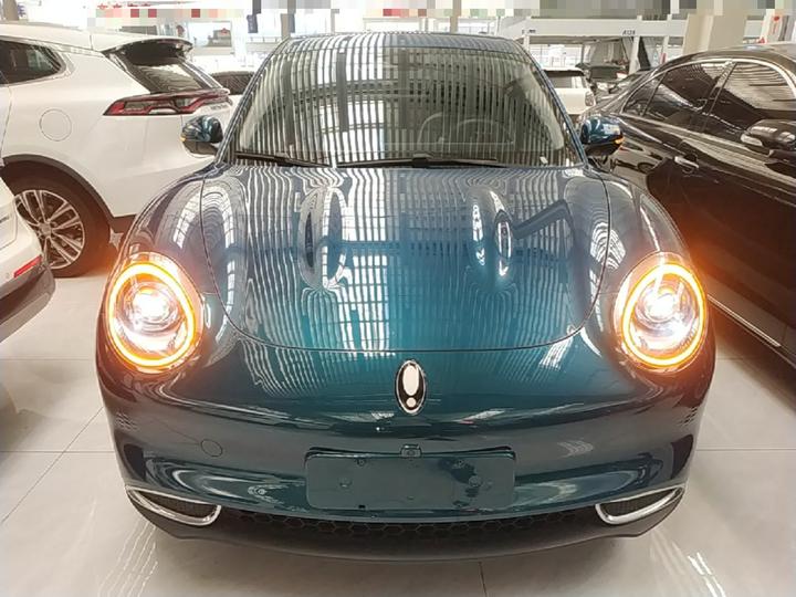 Good Cat 2024 501km Luxury photo 2