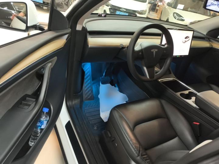Model Y 2021 Standard Range RWD photo 3