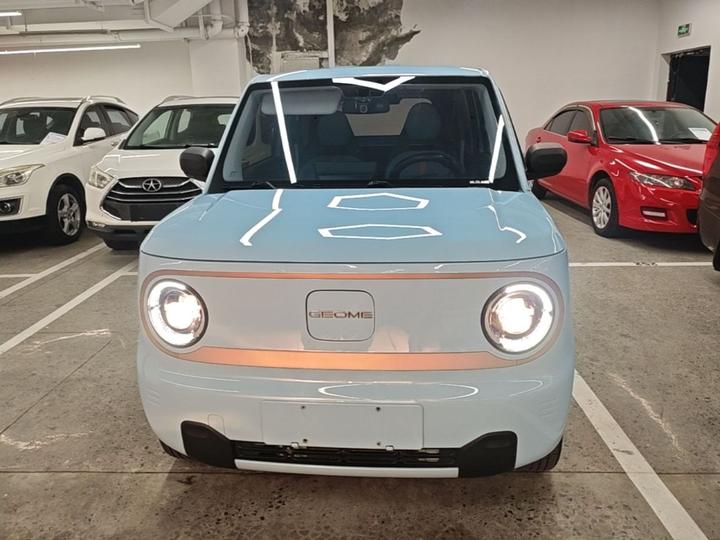 2023 Panda mini 200km Endurance Bear photo 2