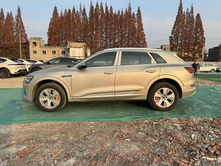 e-tron 2021 50 quattro Luxury photo 3
