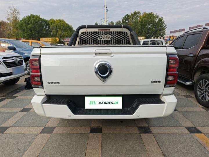 2023 2.0T AT Petrol RWD Elite GW4C20C photo 3