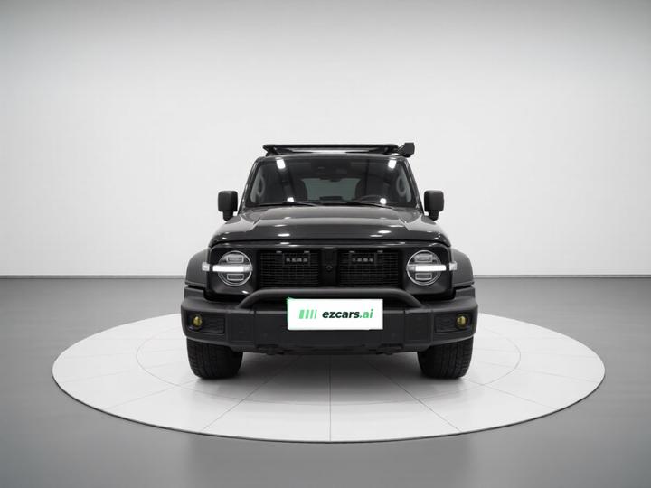 300 2023 Off-road 2.0T Conqueror photo 2