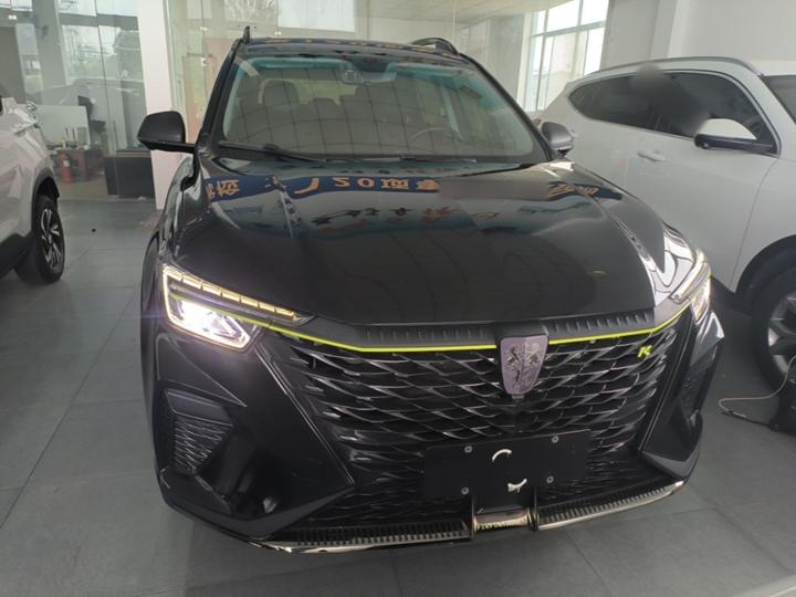 RX5 EV 2021 ePLUS Luxury photo 2