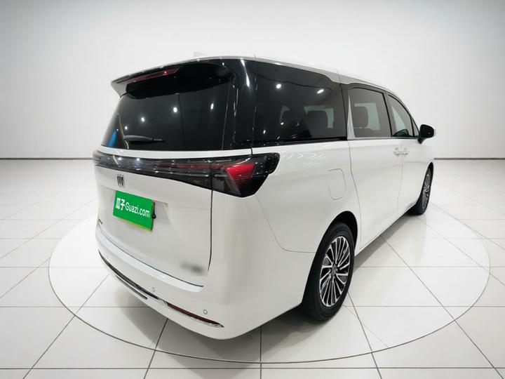 GL8 EV 2025 Exclusive photo 6