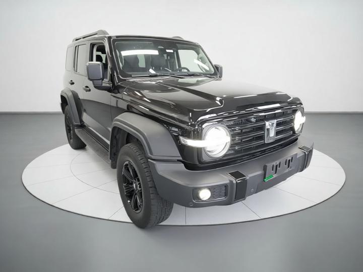 300 2021 Off-road 2.0T photo 3