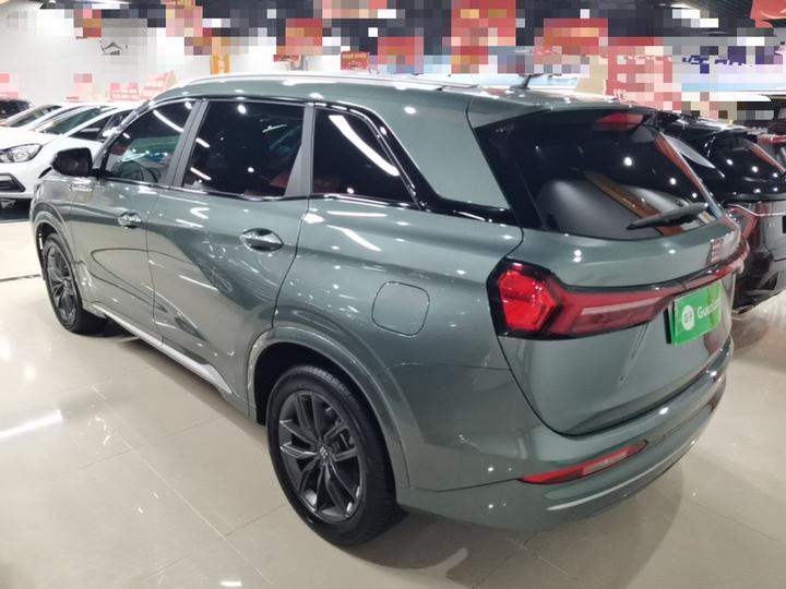 Bluelectric E5 2023 1.5L DE-i 100KM 7-Seater photo 4