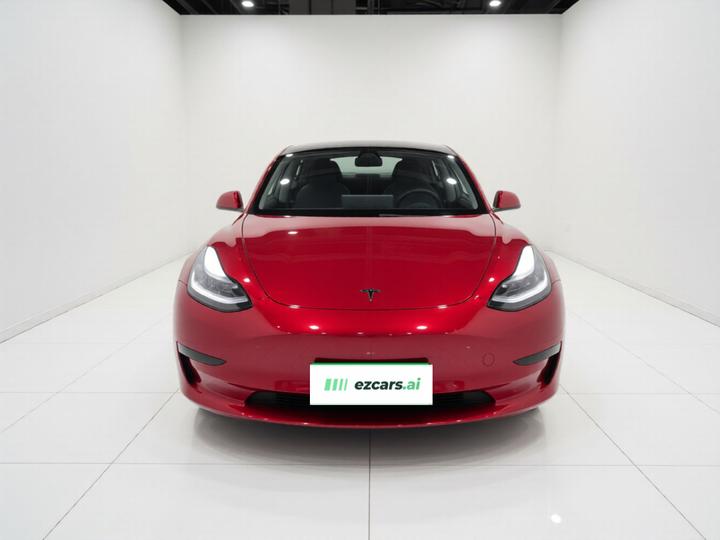 Model 3 Imported 2019 Performance AWD photo 2