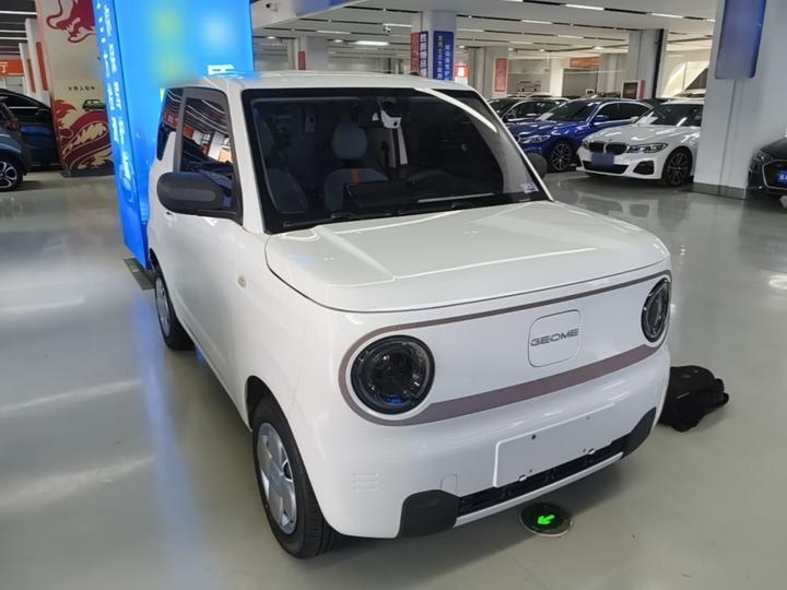 2023 Panda mini 200km Endurance Bear photo 3