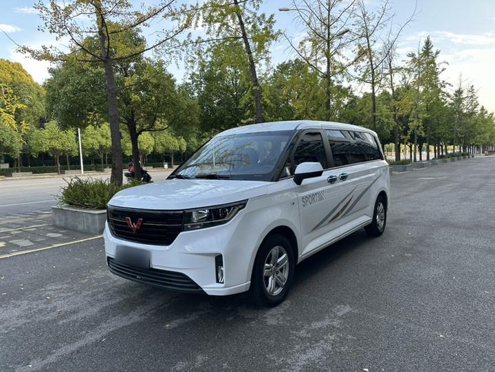 Wuling 2021 1.5T MT Luxury