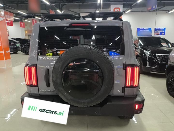 300 2021 Off-road 2.0T Conqueror photo 5