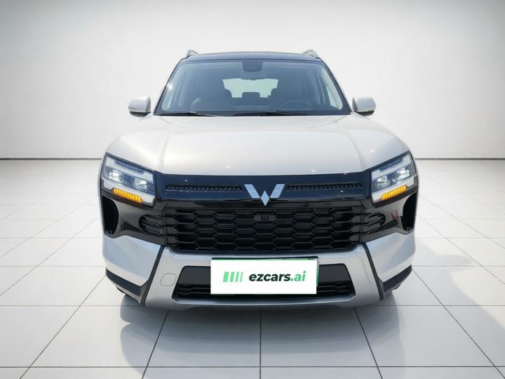 560 EV 2026 125km Luxury photo 2