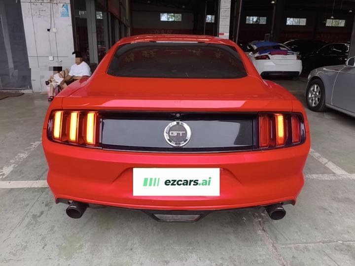 Mustang Parallel Import photo 3