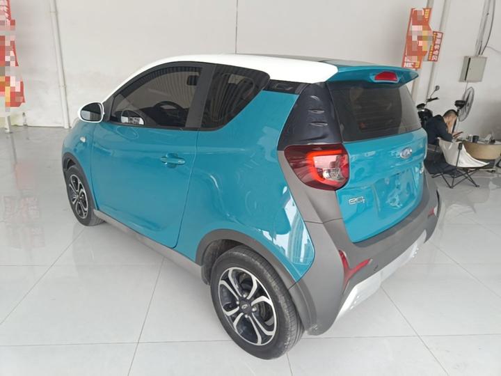 QQ Little Ant 2021 15 LFP photo 4