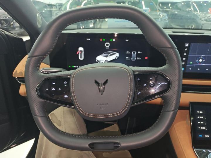 Voyah Passion 2024 PHEV AWD Extended Range Flagship photo 6