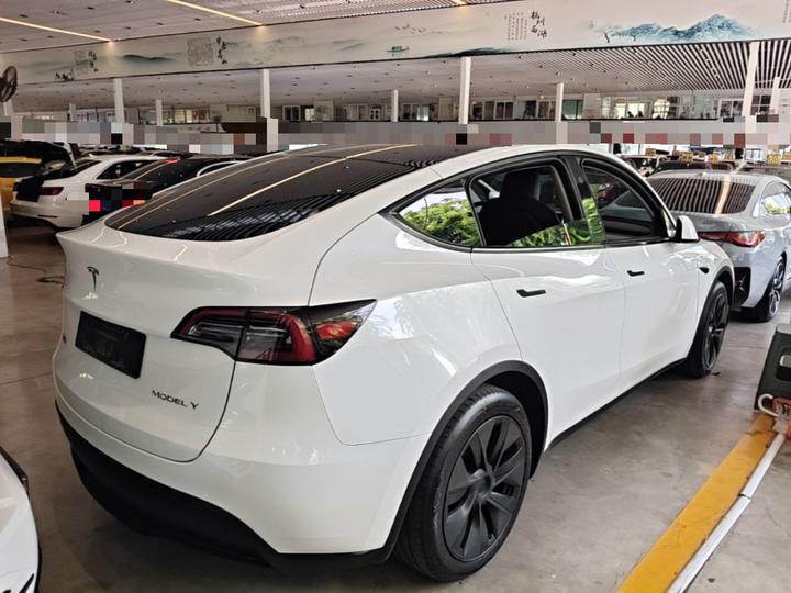Model Y 2024 RWD photo 4