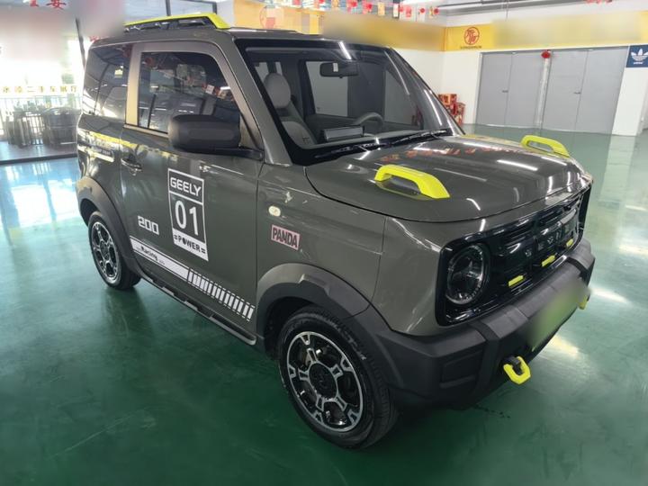2025 210km Panda photo 3