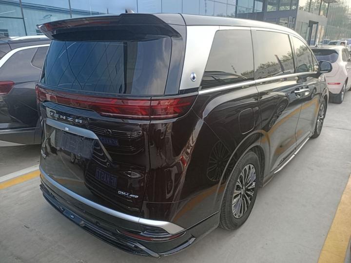 D9 2024 PIONEER 4-Seater photo 4