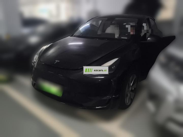 Model Y 2021 Standard Range RWD