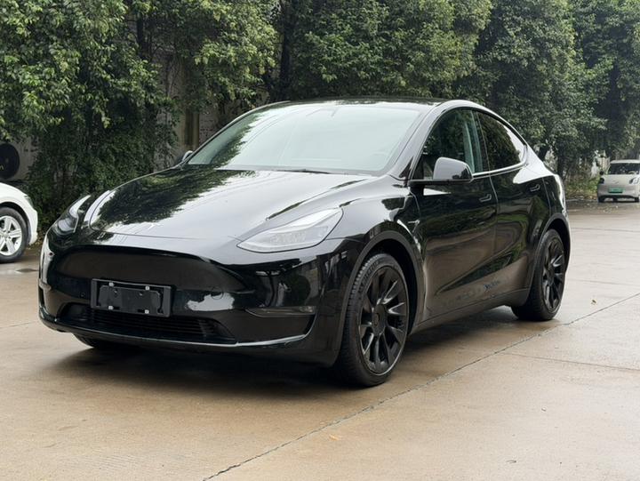 Model Y 2021 Standard Range RWD