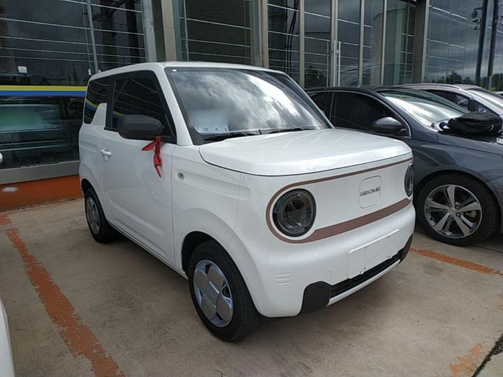 2024 Panda mini 200km Endurance Bear photo 3