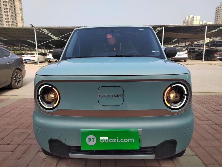 2024 Panda mini 200km Endurance Bear photo 2