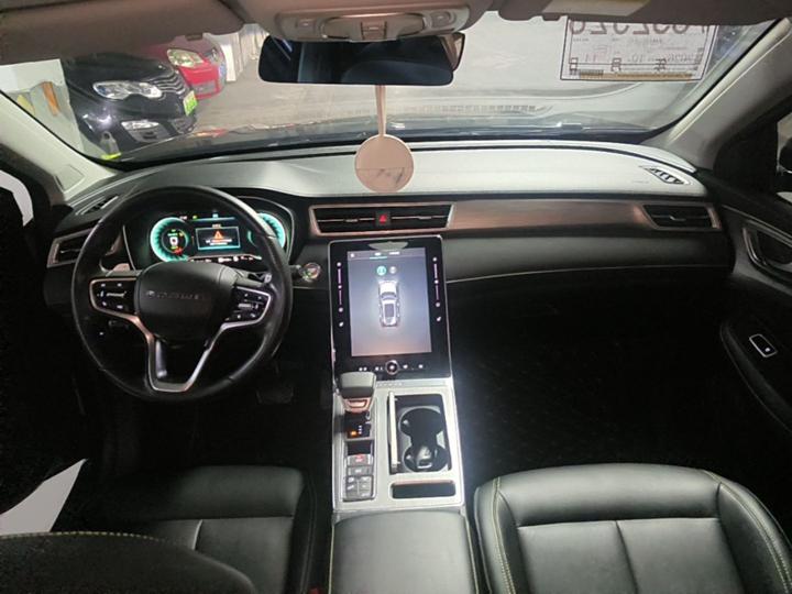 RX5 EV 2020 ePLUS Luxury photo 5