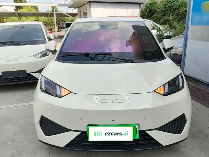 Seagull 2025 ADAS 305km photo 2