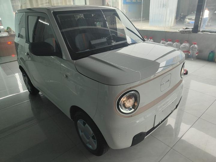 2023 Panda mini 200km Endurance Bear photo 3